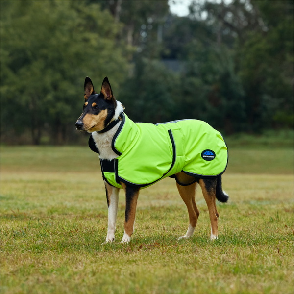 2025 Weatherbeeta Comfitec Reflective 300D Deluxe Showerproof Dog Coat 1029050 - Yellow